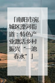 南阳市宛城区溧河街道：特色产业激活乡村振兴“一池春水”