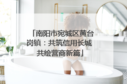 南阳市宛城区黄台岗镇：共筑信用长城 共绘营商新篇