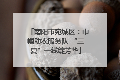 南阳市宛城区：巾帼助农服务队 “三夏”一线绽芳华