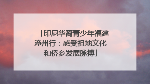 印尼华裔青少年福建漳州行：感受祖地文化和侨乡发展脉搏