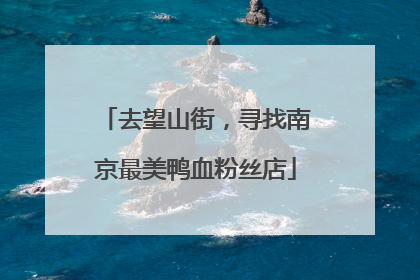 去望山街，寻找南京最美鸭血粉丝店