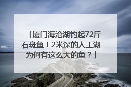 厦门海沧湖钓起72斤石斑鱼！2米深的人工湖为何有这么大的鱼？