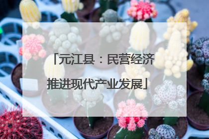 元江县：民营经济推进现代产业发展