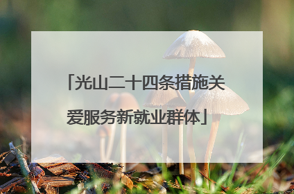 光山二十四条措施关爱服务新就业群体