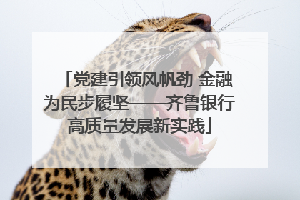 党建引领风帆劲 金融为民步履坚——齐鲁银行高质量发展新实践