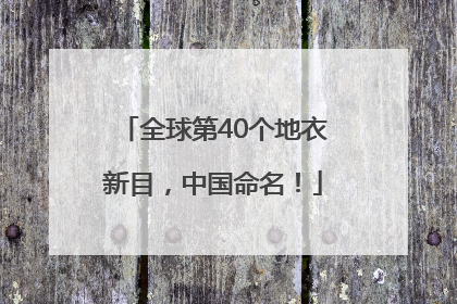 全球第40个地衣新目，中国命名！