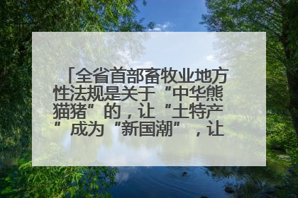 全省首部畜牧业地方性法规是关于“中华熊猫猪”的，让“土特产”成为“新国潮”，让“农产品”升格为“城市IP”