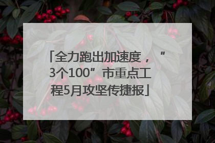 全力跑出加速度，“3个100”市重点工程5月攻坚传捷报