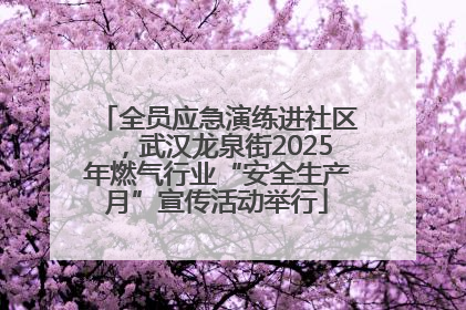 全员应急演练进社区，武汉龙泉街2025年燃气行业“安全生产月”宣传活动举行
