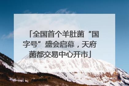 全国首个羊肚菌“国字号”盛会启幕，天府菌都交易中心开市