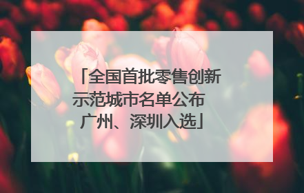 全国首批零售创新示范城市名单公布 广州、深圳入选