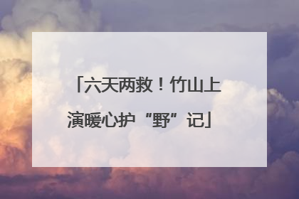 六天两救！竹山上演暖心护“野”记