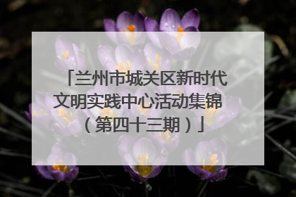 兰州市城关区新时代文明实践中心活动集锦（第四十三期）