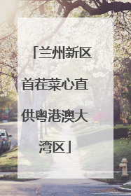 兰州新区首茬菜心直供粤港澳大湾区