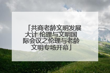 共商老龄文明发展大计 伦理与文明国际会议之伦理与老龄文明专场开幕