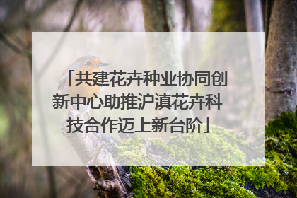共建花卉种业协同创新中心助推沪滇花卉科技合作迈上新台阶