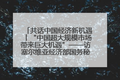 共话中国经济新机遇丨“中国超大规模市场带来巨大机遇”——访塞尔维亚经济部国务秘书尼科利奇
