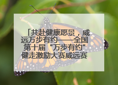 共赴健康愿景，威远万步有约——全国第十届“万步有约”健走激励大赛威远赛区启动仪式