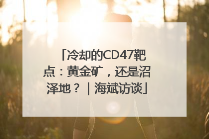 冷却的CD47靶点：黄金矿，还是沼泽地？｜海斌访谈
