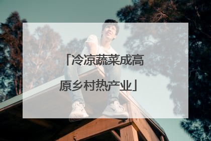 冷凉蔬菜成高原乡村热产业