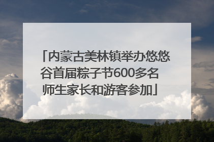 内蒙古美林镇举办悠悠谷首届粽子节600多名师生家长和游客参加