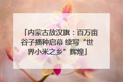 内蒙古敖汉旗：百万亩谷子播种启幕 续写“世界小米之乡”辉煌