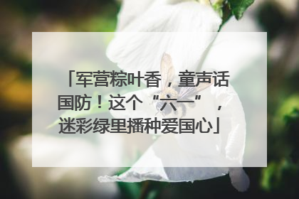 军营粽叶香，童声话国防！这个“六一”，迷彩绿里播种爱国心