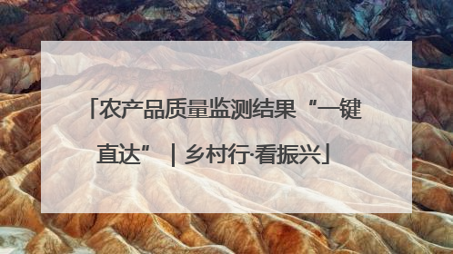 农产品质量监测结果“一键直达”｜乡村行·看振兴