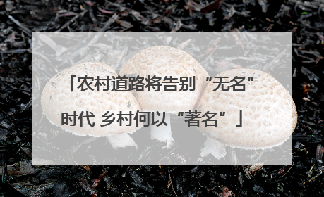 农村道路将告别“无名”时代 乡村何以“著名”