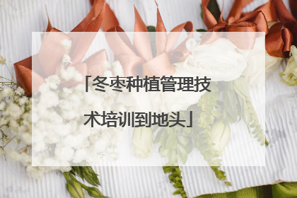 冬枣种植管理技术培训到地头