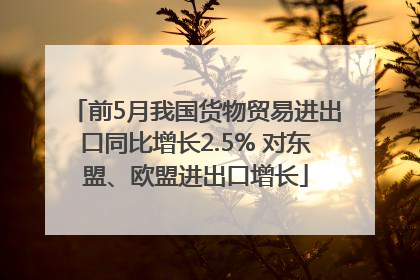 前5月我国货物贸易进出口同比增长2.5% 对东盟、欧盟进出口增长