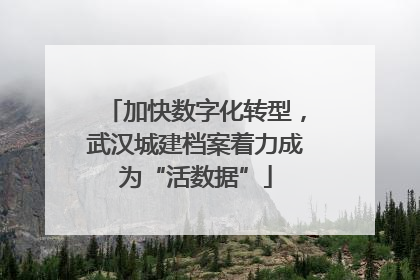 加快数字化转型，武汉城建档案着力成为“活数据”