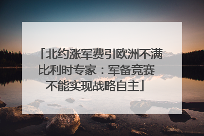 北约涨军费引欧洲不满 比利时专家：军备竞赛不能实现战略自主