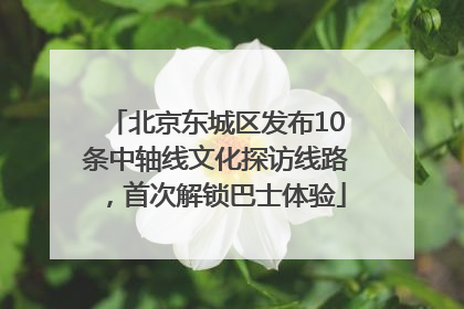 北京东城区发布10条中轴线文化探访线路，首次解锁巴士体验