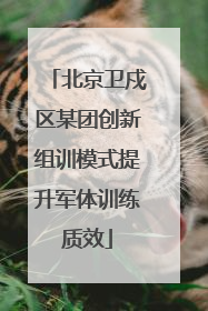 北京卫戍区某团创新组训模式提升军体训练质效