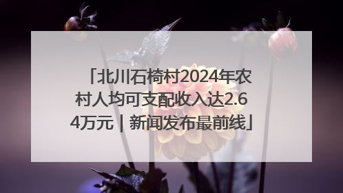 北川石椅村2024年农村人均可支配收入达2.64万元｜新闻发布最前线