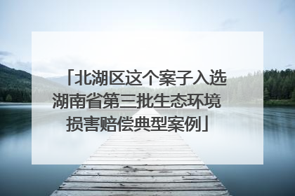 北湖区这个案子入选湖南省第三批生态环境损害赔偿典型案例