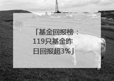 基金回报榜：119只基金昨日回报超3%