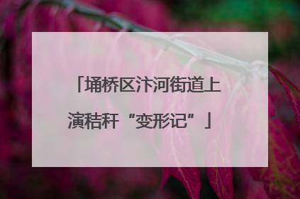 埇桥区汴河街道上演秸秆“变形记”