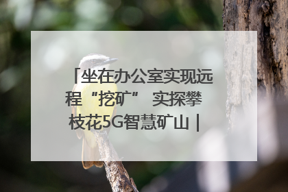 坐在办公室实现远程“挖矿” 实探攀枝花5G智慧矿山｜网络名人四川行