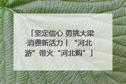坚定信心 勇挑大梁·消费新活力丨“河北游”带火“河北购”
