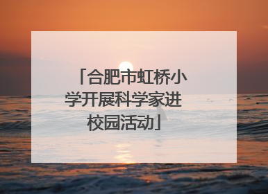 合肥市虹桥小学开展科学家进校园活动