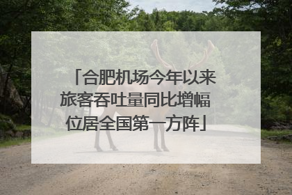 合肥机场今年以来旅客吞吐量同比增幅位居全国第一方阵