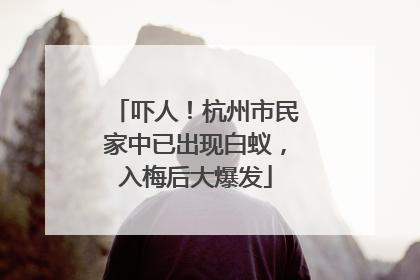 吓人！杭州市民家中已出现白蚁，入梅后大爆发