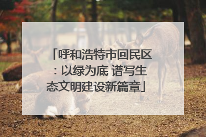 呼和浩特市回民区：以绿为底 谱写生态文明建设新篇章