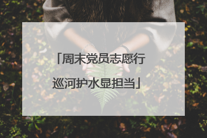 周末党员志愿行 巡河护水显担当