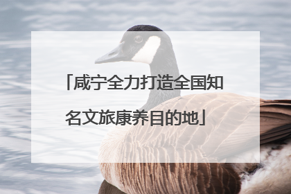 咸宁全力打造全国知名文旅康养目的地