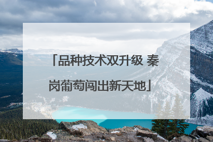 品种技术双升级 秦岗葡萄闯出新天地