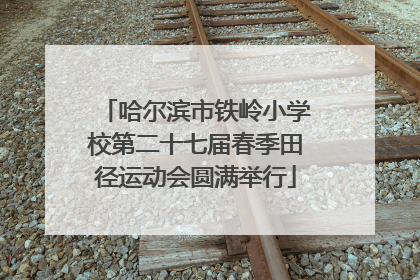哈尔滨市铁岭小学校第二十七届春季田径运动会圆满举行