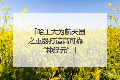 哈工大为航天国之重器打造高可靠“神经元”